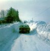 Snowdrift.jpg