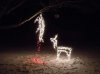 christmas-lights-funny.jpg