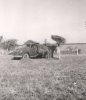 hay operation (Don driving), '54.jpg