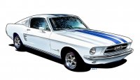 67-STANG-01.jpg