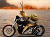 biker_snail.jpg