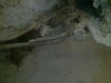 WP_20130307_006.jpg