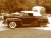 Black Beauty0002.jpg
