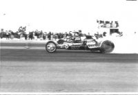 CALIF_76-GARLITS_3.jpg