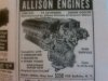 Allison.jpg