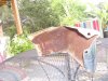 100_4115.jpg