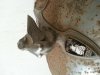 20130509_194110.jpg