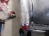 Buick tail lights.jpg