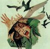 Birds.jpg