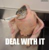 deal with it.jpg
