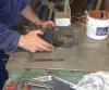 DSC03638.JPG
