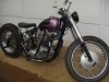triumph 001.jpg