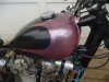 triumph 002.jpg