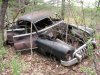 50 Buick in the weeds02.jpg