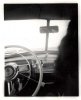 back seat driver.jpg