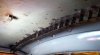 inner roof truss1.JPG