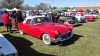 DSC04155 (Medium).JPG