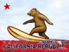 SurfBear.jpg