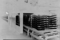 CONVEYOR LINE WITH CAR CHASSIS.jpg