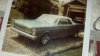 1965 gal 2.jpg