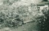 scan0041.jpg
