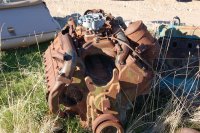 DSC_0230 (Medium).JPG