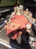 ImageUploadedByH.A.M.B.1380514202.417985.jpg