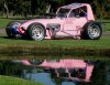 Pink Lady 157.jpg