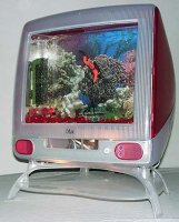 strawberry_f.jpg