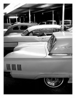 333789-curves.jpg