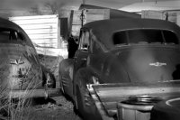 Junkyard.jpg