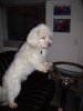 Jake says c'mon lets go !!!.JPG