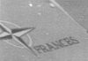 FRANCES CLOSE UP.jpg