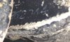 Image1.jpg