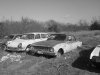 20140314_104318.jpg