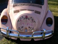 mels bug 070.jpg