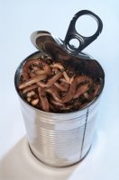 iStock_can of worms2.jpg