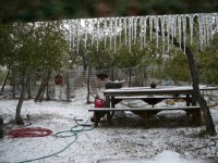 cold 002.jpg