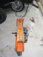 365935-squankstand1.jpg