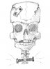 Franken_Skull.jpg
