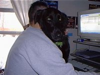373822-PIC00006.JPG