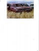 AbandonCars3.JPG