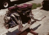 myL6.gif