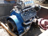 Flathead Jim\'s 8-2013 014 (Small).jpg