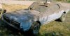 67 Cougar first light.jpg