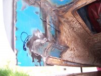 100_1253.JPG