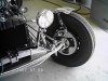 Black Widow 002.jpg