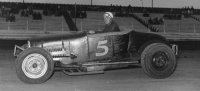 oak tr=4.JPG