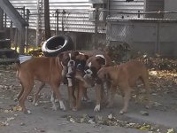 CAM00509.jpg