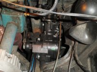 variety of pics 011.JPG